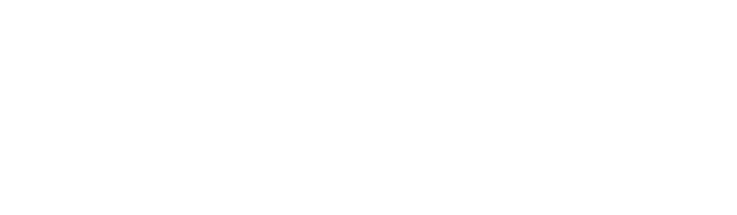Scuto Paint